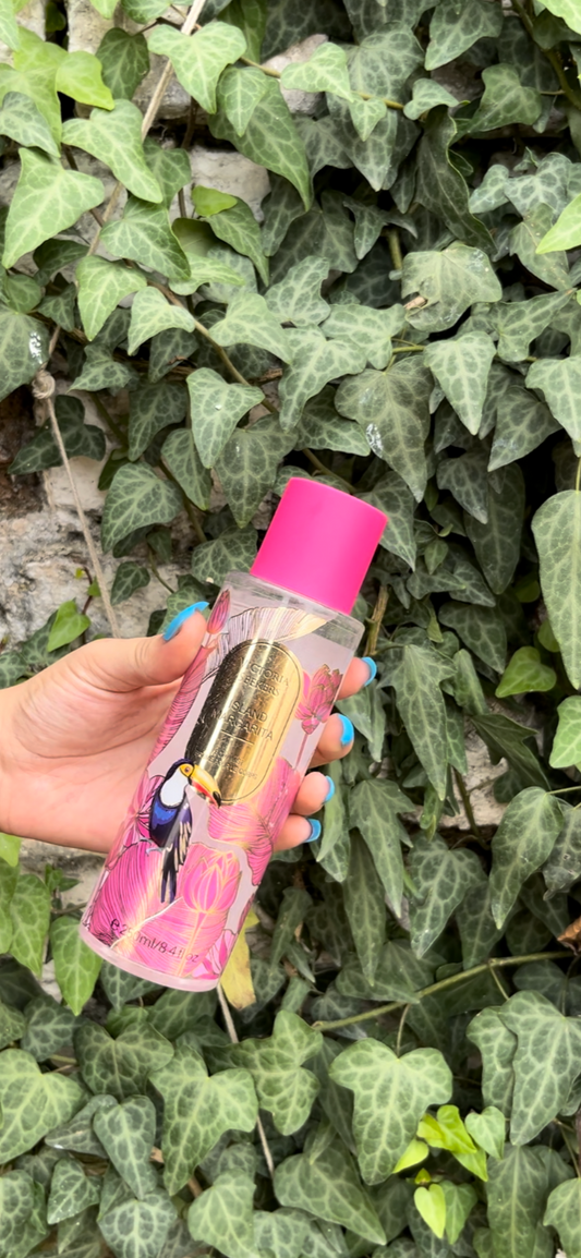 Victoria Secret Island Margarita Perfume Mist